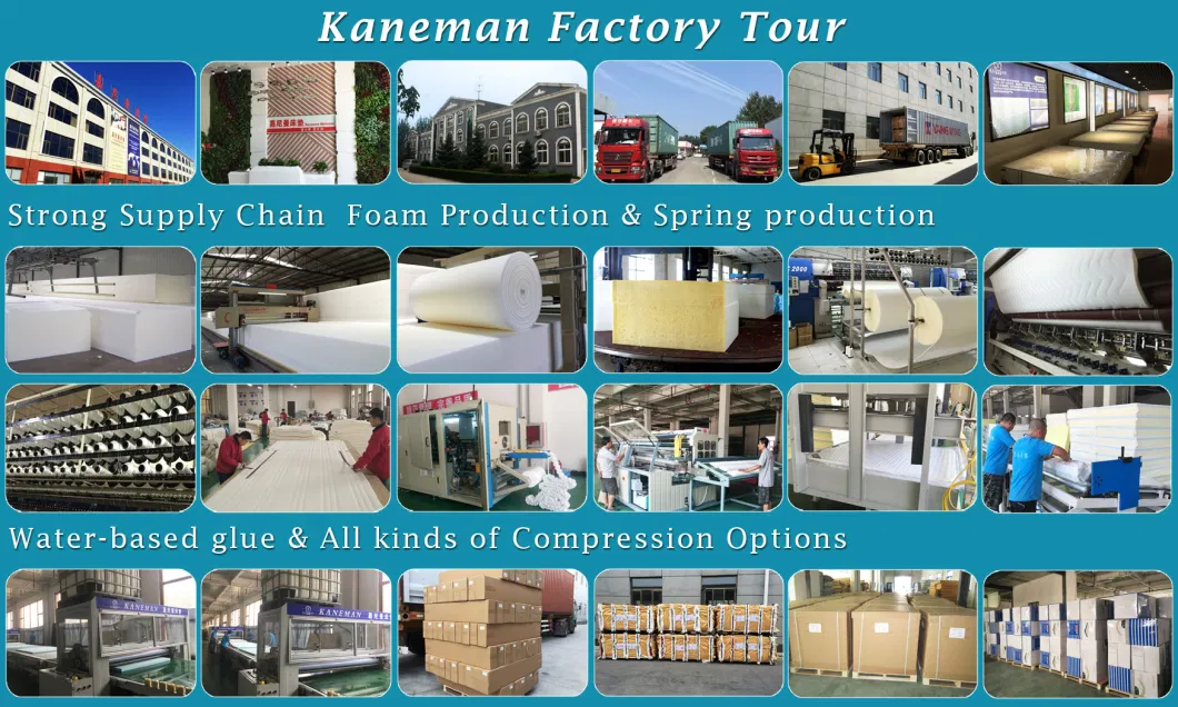 Kaneman Hot Sale Memory Foam Mattress-Hotel Mattress- Bed Mattress- Pocket Spring Mattress