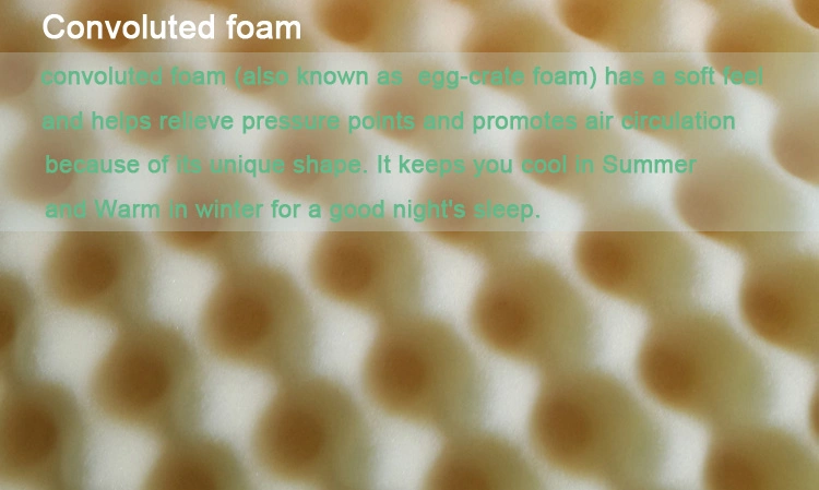 Kaneman 10inch Hard Memory Foam Mattress with Box Packing
